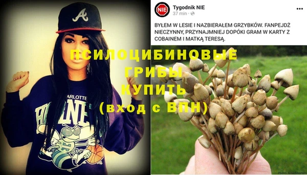 дурь Лабытнанги