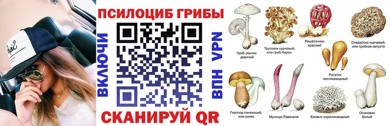 KRAKEN зеркало  Спасск  Галлюциногенные грибы MAGIC MUSHROOMS 